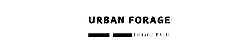 urbanforagepath.com